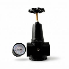 AR 900 Serisi Regülatör EXPFLEX