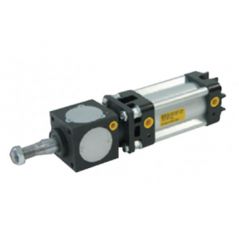 Pneumatic Cylinder Shaft Locking