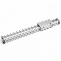 SMS Serisi Kızaklı (Rodless) Milsiz Silindirler