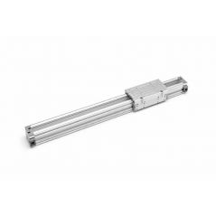 SMS Serisi Kızaklı (Rodless) Milsiz Silindirler